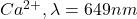 Rendered by QuickLaTeX.com Ca^{2+}, \lambda=649 nm