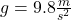 g = 9.8 \frac{m}{s^{2} }