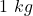 1 \ kg
