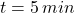 t = 5\,min