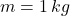 m = 1\,kg