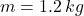 m = 1.2\,kg