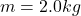 m=2.0kg
