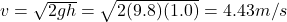 v=\sqrt{2gh}=\sqrt{2(9.8)(1.0)}=4.43 m/s