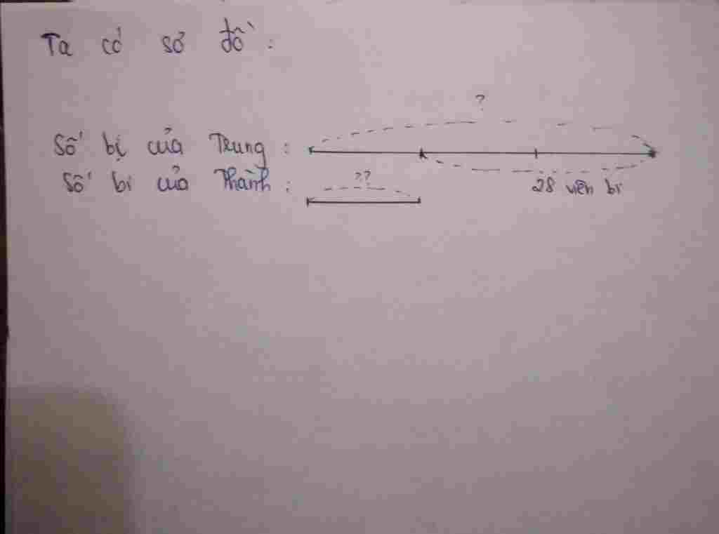 bai-nay-nha-ve-ca-so-do-nua