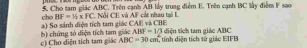 cho-1-3-doi-thanh-1-2-ho-minh-nhe