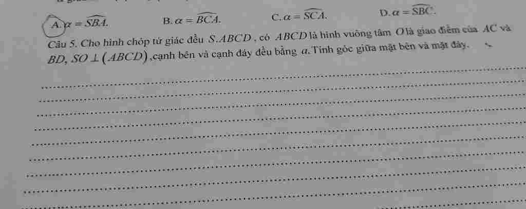 giai-ho-cau-5-vs-m-n-can-gap