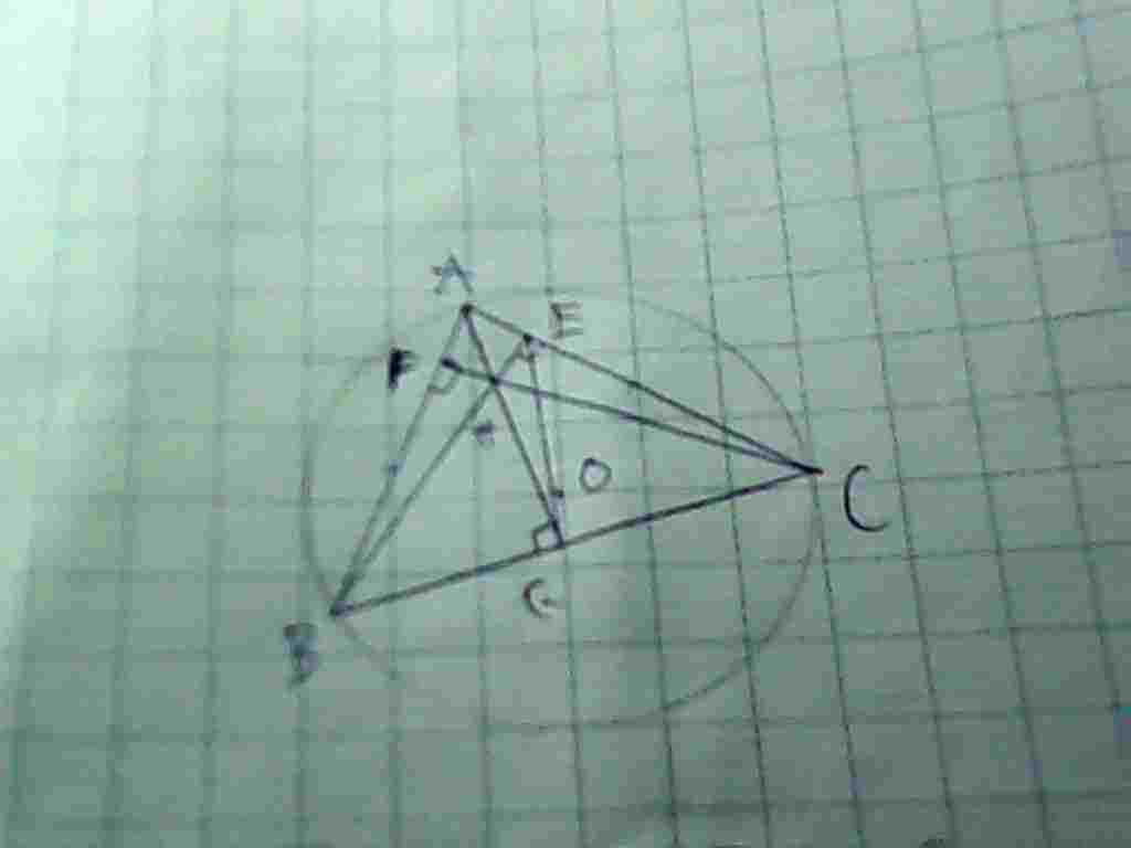 giup-minh-gap-bai-nay-voi