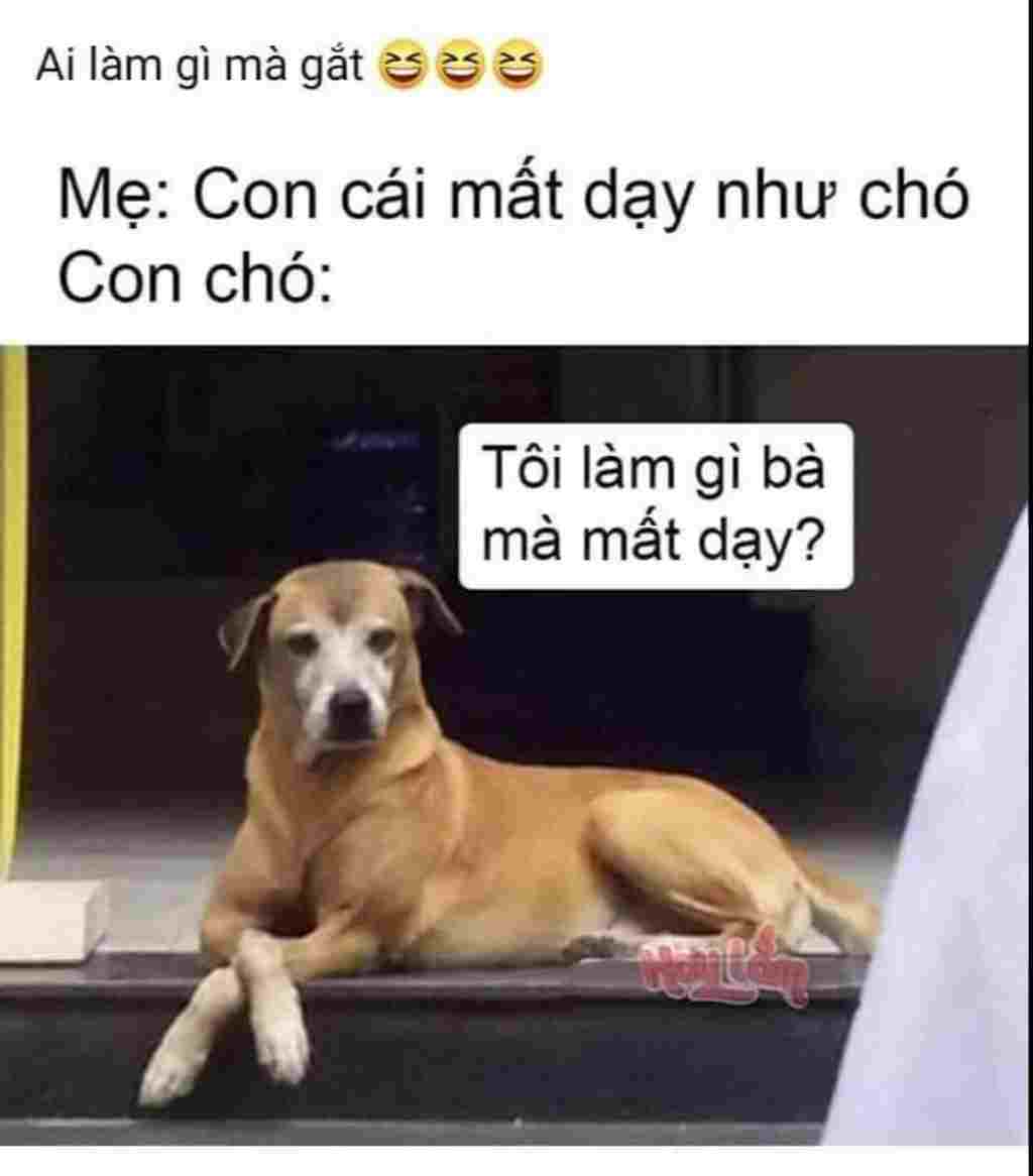 tinh-9-2-4-0-ngoai-le