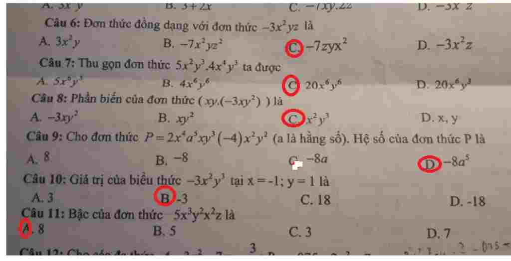 trac-nghiem-part-2-con-nhieu-part-nua