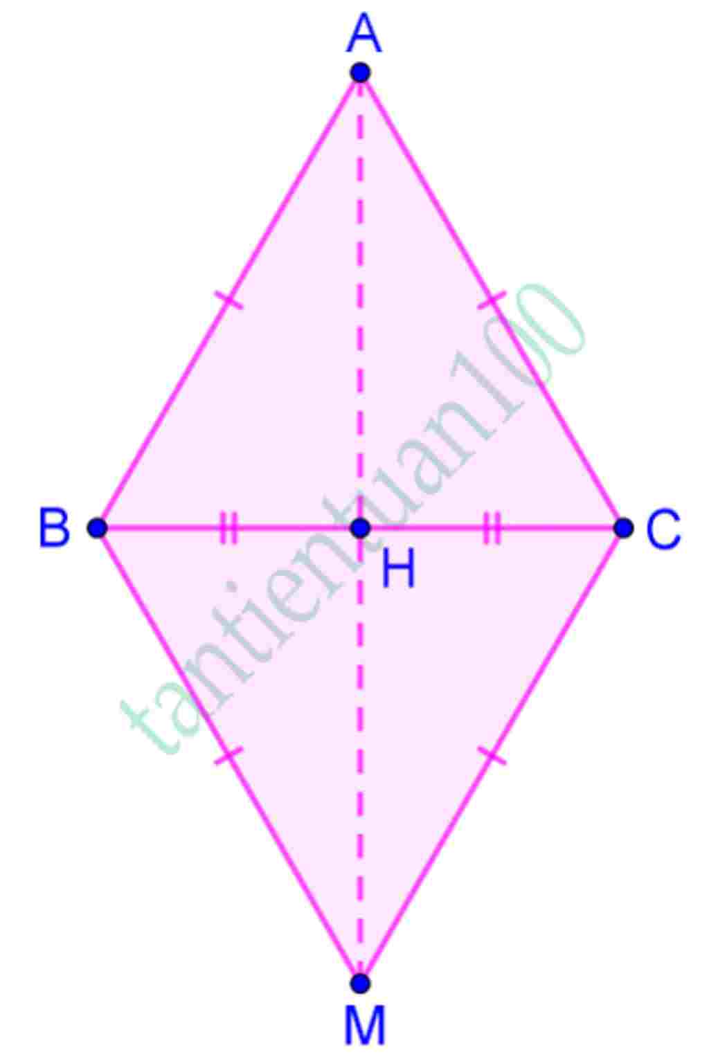 ve-2-abc-mbc-deu-chung-minh-a-m-la-duong-trung-truc-cua-bc