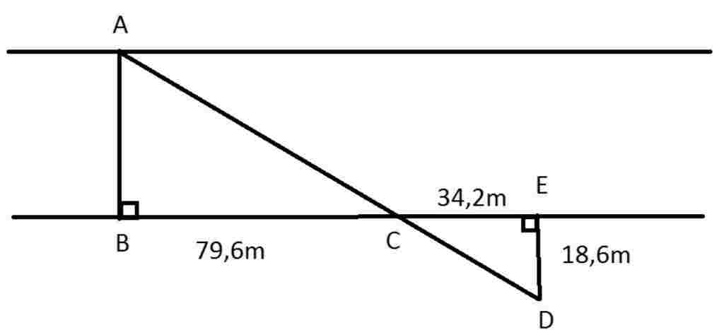 1-mot-khu-vuon-hinh-chu-nhat-co-chu-vi-52cm-neu-giam-chieu-dai-di-6m-va-tang-chieu-rong-4m-thi-k