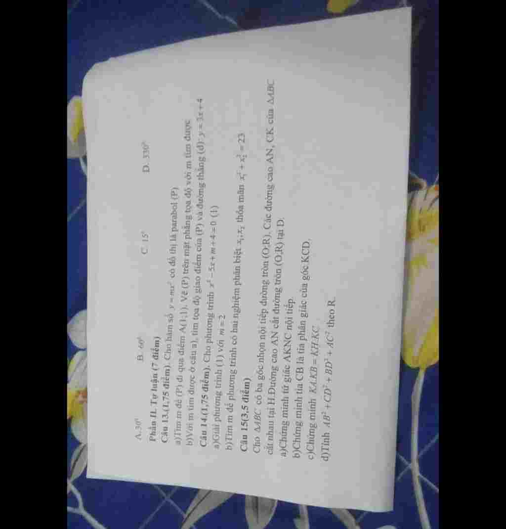 giup-minh-lay-ho-minh-cau-15