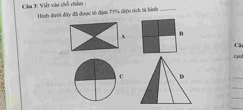 hinh-nao-duoi-day-da-duoc-to-dam75-dien-tich-la-hinh