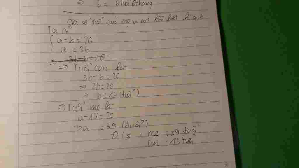 me-hon-con-26-tuoi-tuoi-me-gap-3-lan-tuoi-con-tinh-tuoi-cua-moi-nguoi