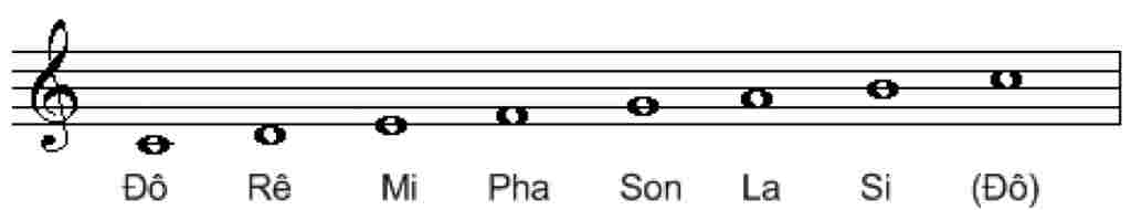 cau-1-ke-khuong-nhac-viet-ten-7-not-nhac-cau-2-neu-cac-ki-hieu-truong-do-cua-am-nhac-cau-3-the-n