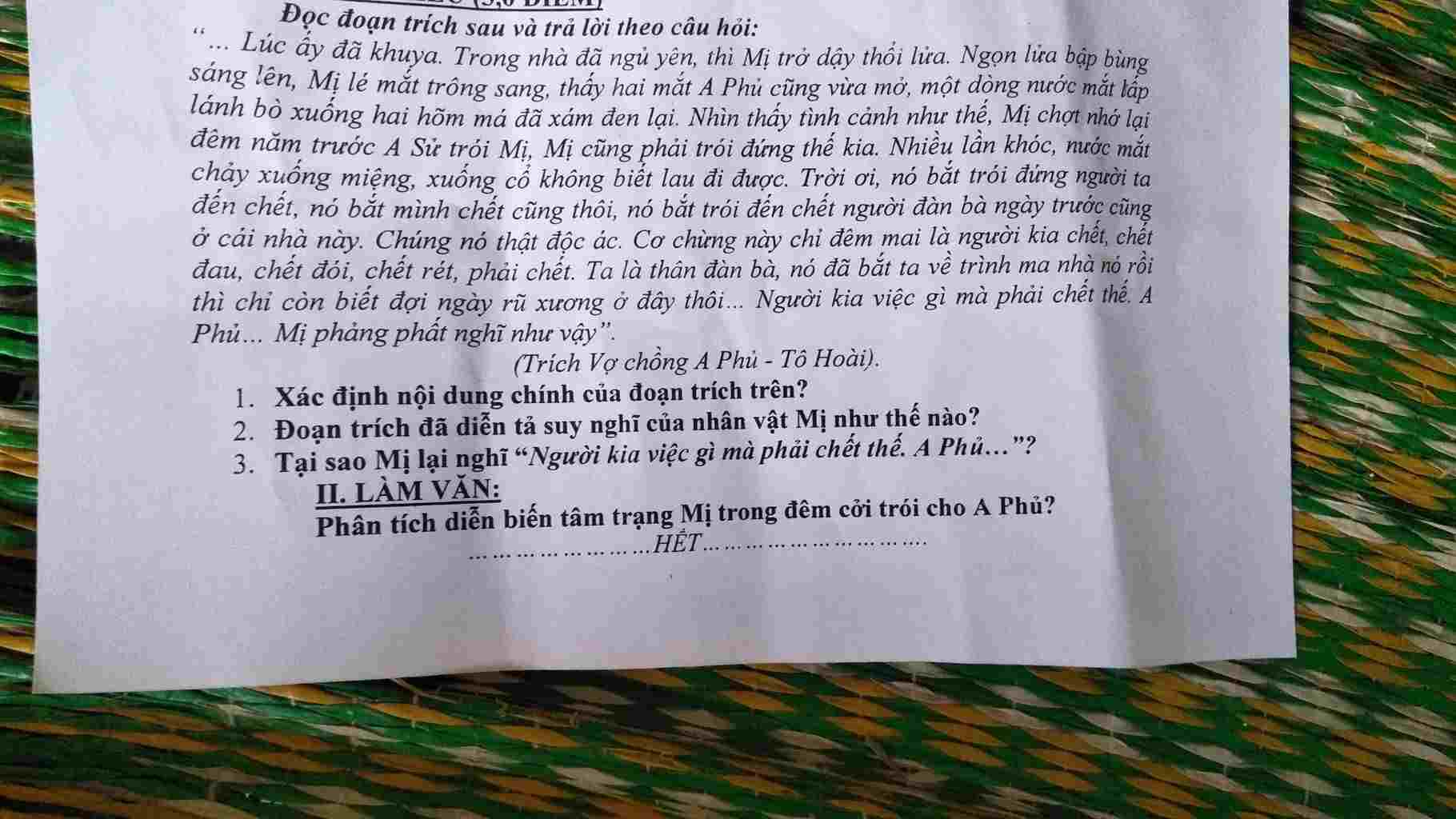 doc-doan-trich-sau-va-tra-loi-theo-cau-hoi-luc-ay-da-khuya-trong-nha-da-ngu-yen-thi-mi-tro-day-t