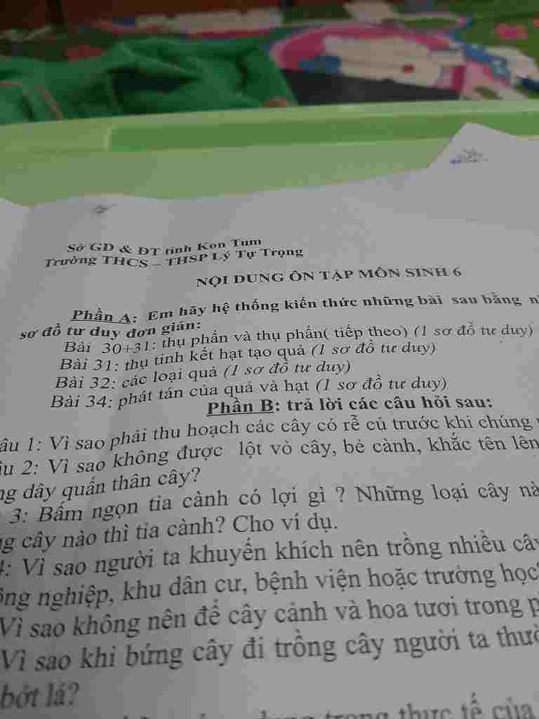 giup-mik-lam-het-phan-a-nha-cam-on-cac-ban-nhiu