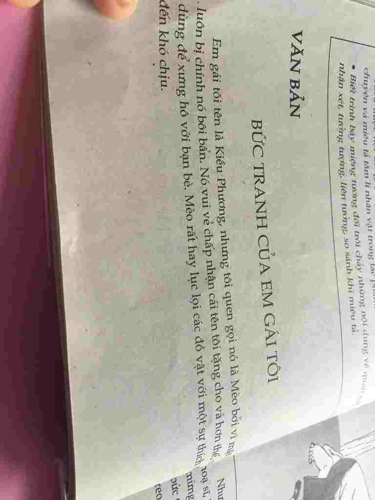 neu-cam-nghi-cua-em-ve-nguoi-anh-va-nguoi-em-trong-truyen-buc-tranh-cua-em-gai-toi-ngu-van-6-neu