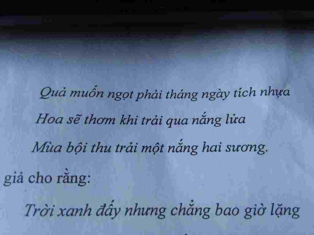 qua-muon-ngot-phai-thang-ngay-tich-nhua-hoa-se-thom-khi-trai-qua-nang-lua-mua-boi-thu-trai-mot-n