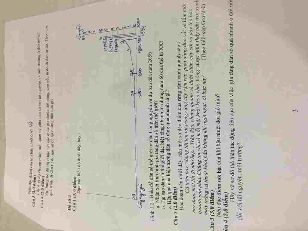 tra-loi-nhanh-nhe-mai-thi-roi