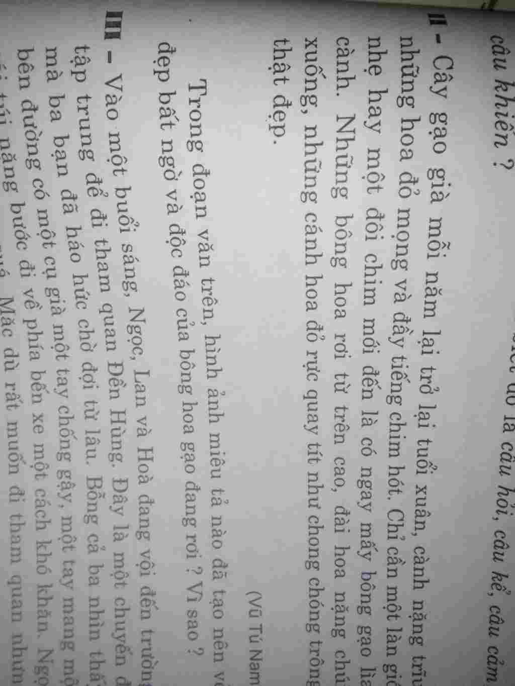 trong-doan-van-tren-hinh-anh-mieu-ta-nao-da-tao-nen-ve-dep-bat-ngo-va-doc-dao-cua-bong-hoa-khi-r