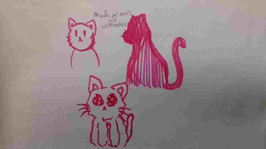 ve-con-meo-gay-go-om-yeu