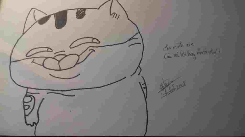 ve-lai-con-meo-bua-nay-nha-nay-quyen-cang-bua-cang-tot