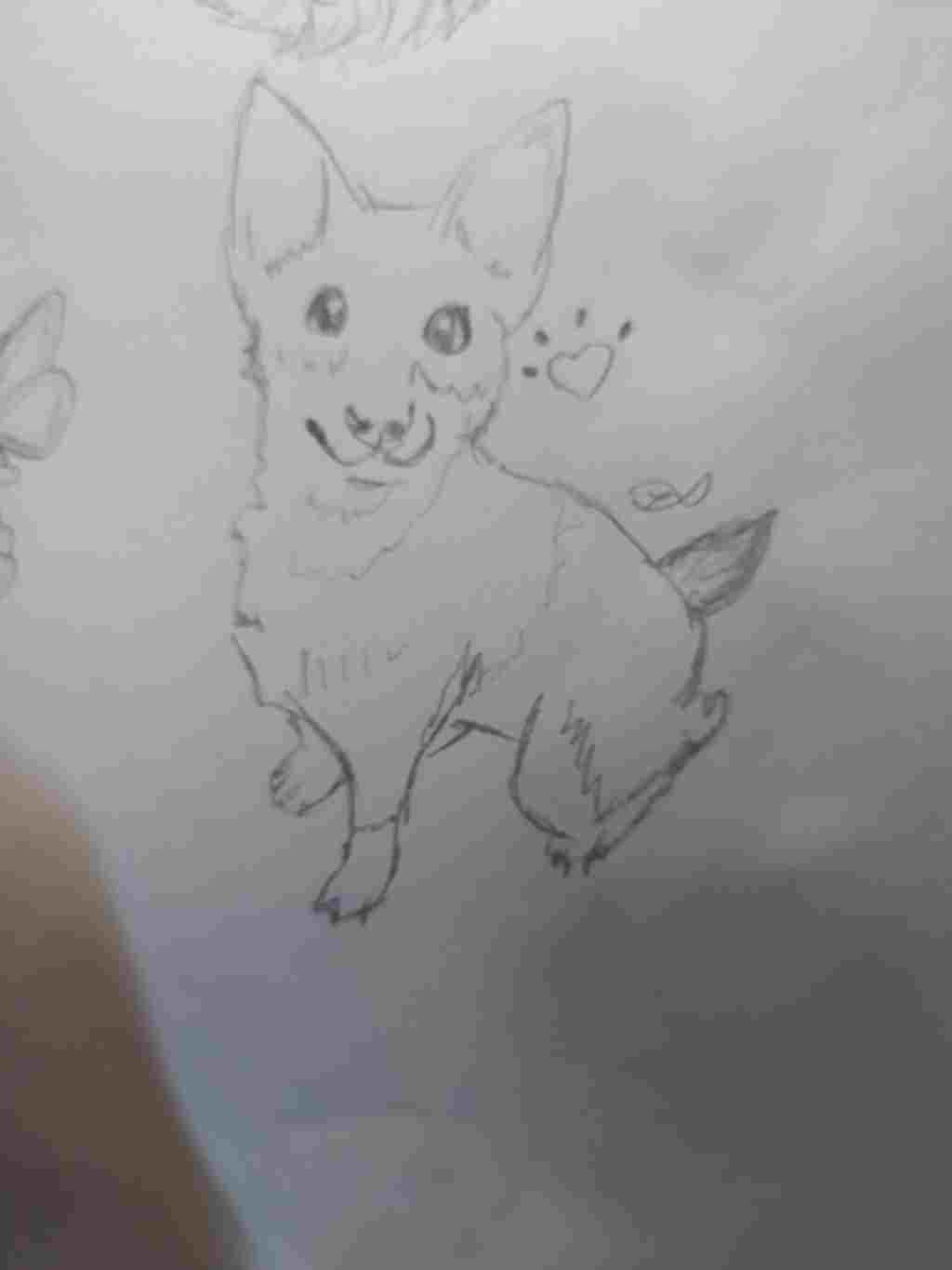 ve-mot-con-cho-cute-nha-hinh-anh-duoi-chi-mang-tinh-chat-minh-hoa