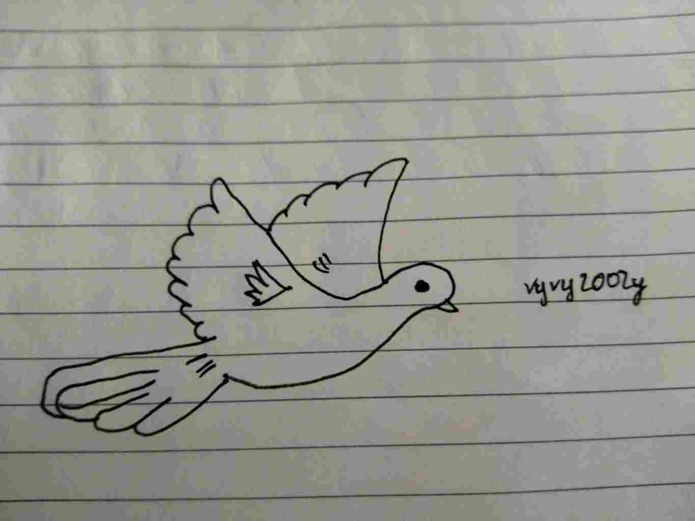 ve-mot-con-nai-hoi-au-va-mot-con-chim-nhu-nguoi-moi-tap-ve