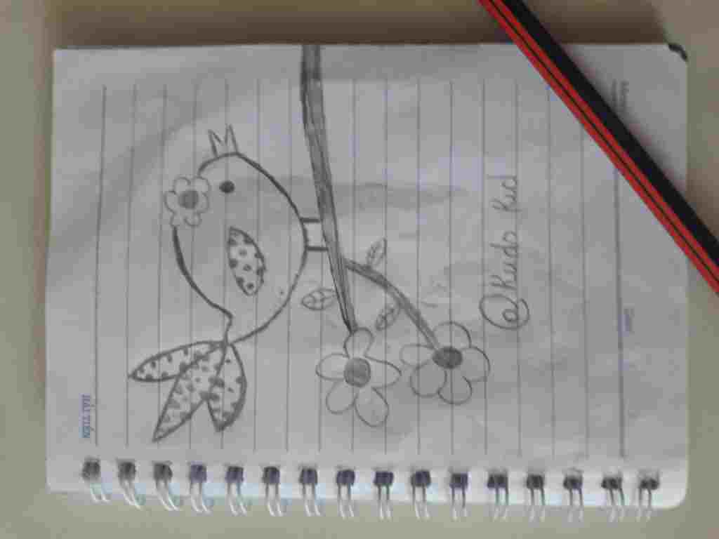 ve-mot-con-nai-hoi-au-va-mot-con-chim-nhu-nguoi-moi-tap-ve