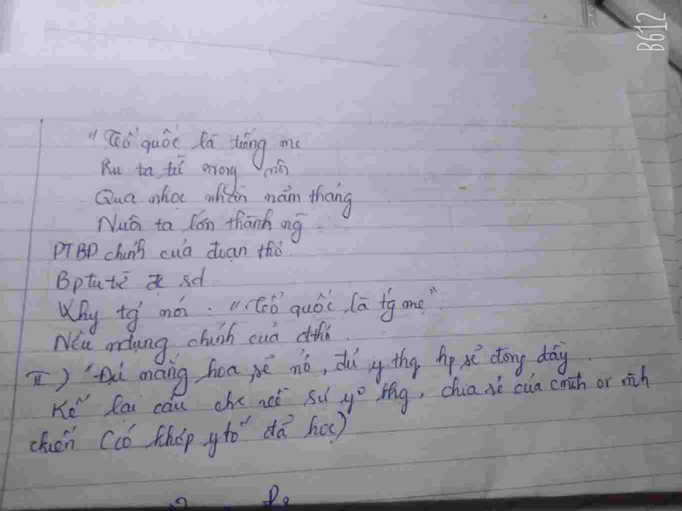 1-to-quoc-la-tieng-me-ru-ta-tu-trong-noi-qua-nhoc-nhan-nam-thang-nuoi-ta-lon-thanh-nguoi-phuong