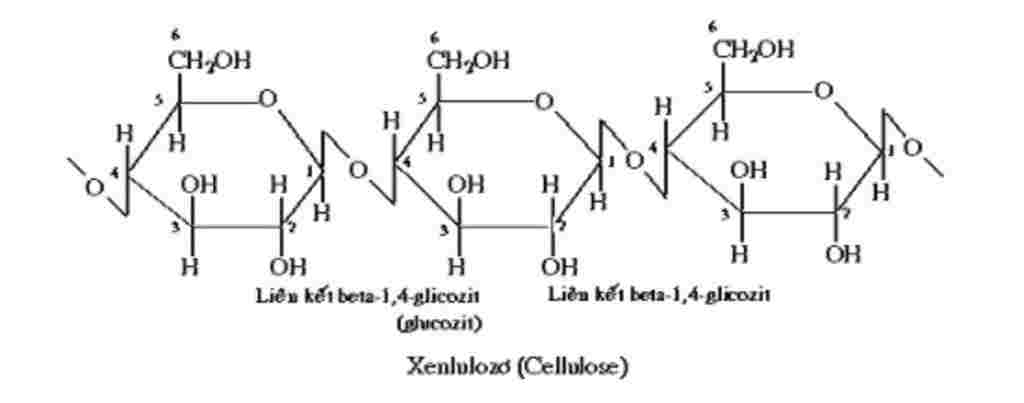 vi-sao-tinh-bot-va-enlulozo-khong-tac-dung-duoc-voi-cu-oh-2
