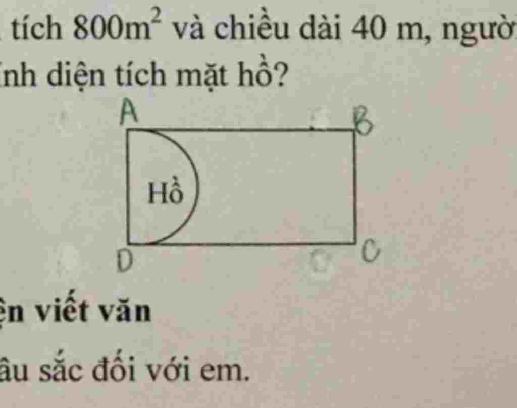 mot-mieng-dat-hinh-chu-nhat-co-dien-tich-800m-vuong-va-chieu-dai-40m-nguoi-ta-dao-1-cai-ho-hinh