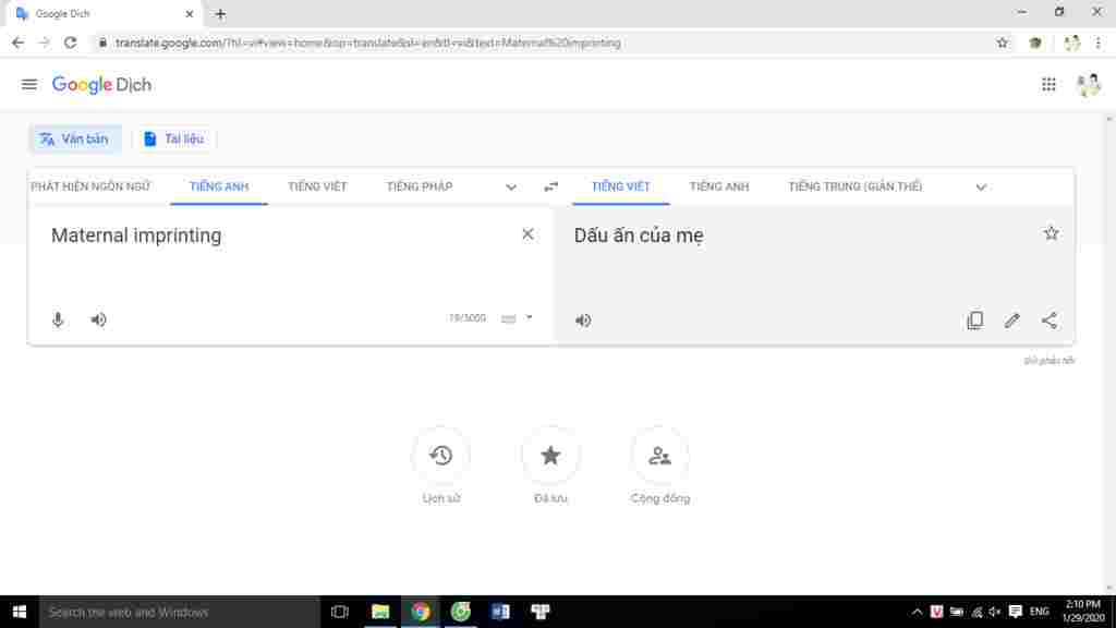 maternal-imprinting-duoc-hieu-tieng-viet-la-gi-co-ai-biet-khong-cam-on-nhieu