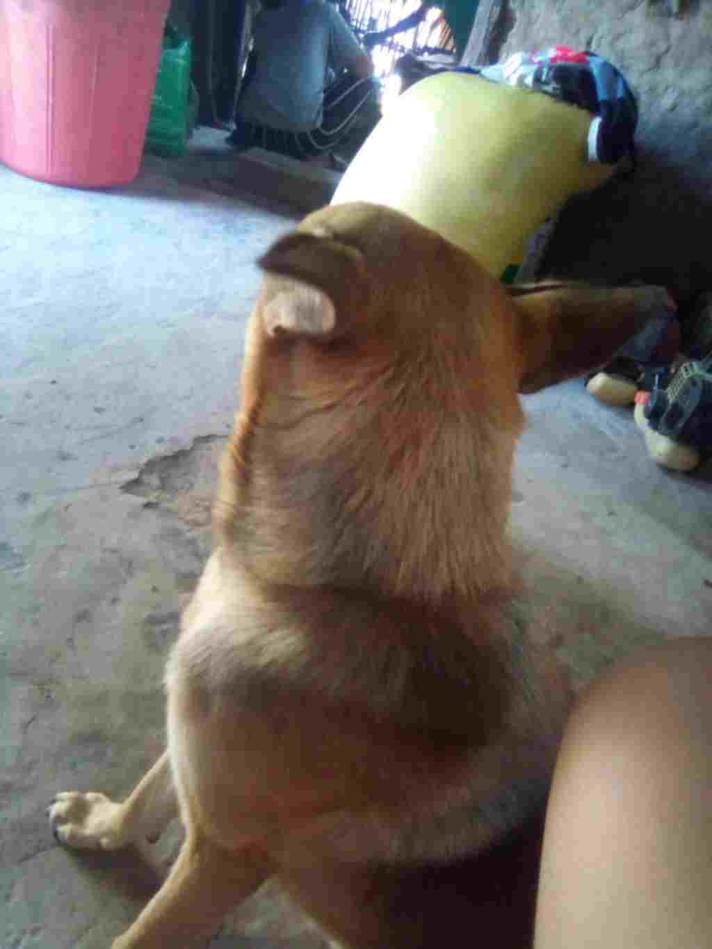 bang-phuong-phap-hoa-hoc-hay-phan-biet-cac-loai-dung-dich-mat-nhan-sau-na2-co3-cabr2-cucl2-mg-no