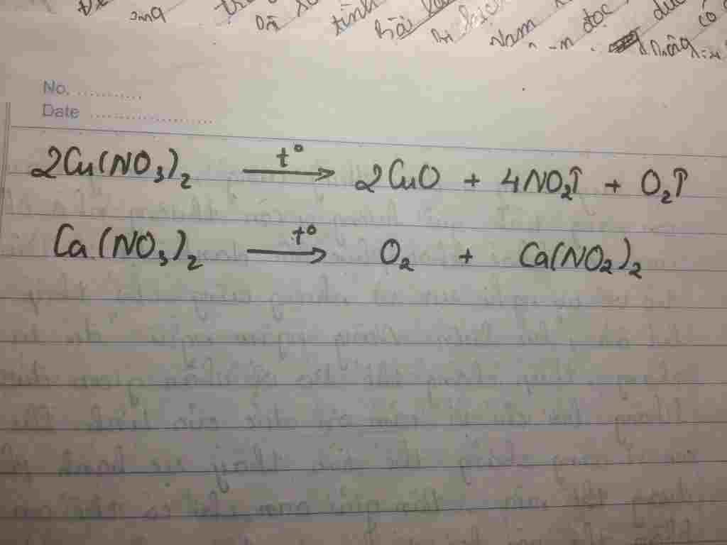 nhiet-phan-cu-no3-2-ca-no3-2