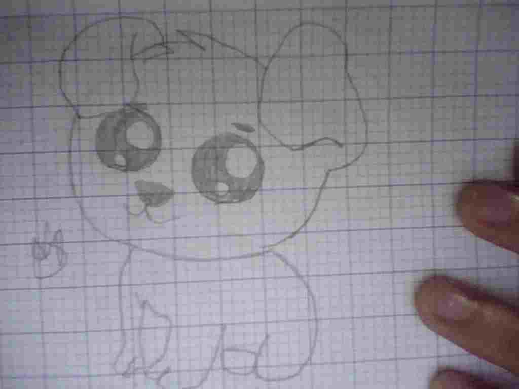 ve-1-con-cho-ngu-ngoc-cho-giong-mk