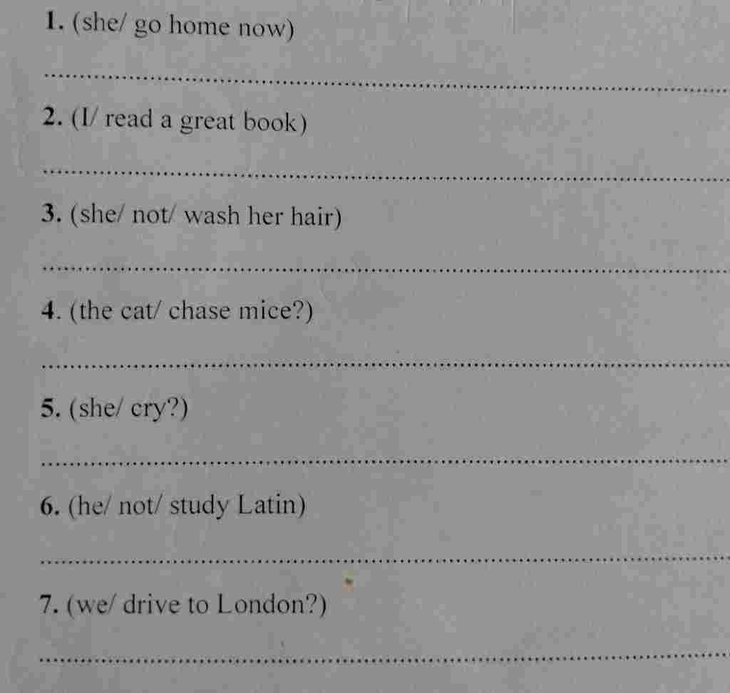 1-she-go-home-now-2-i-read-a-great-book-3-she-not-wash-her-hair-4-the-cat-chase-mice-5-she-cry-6