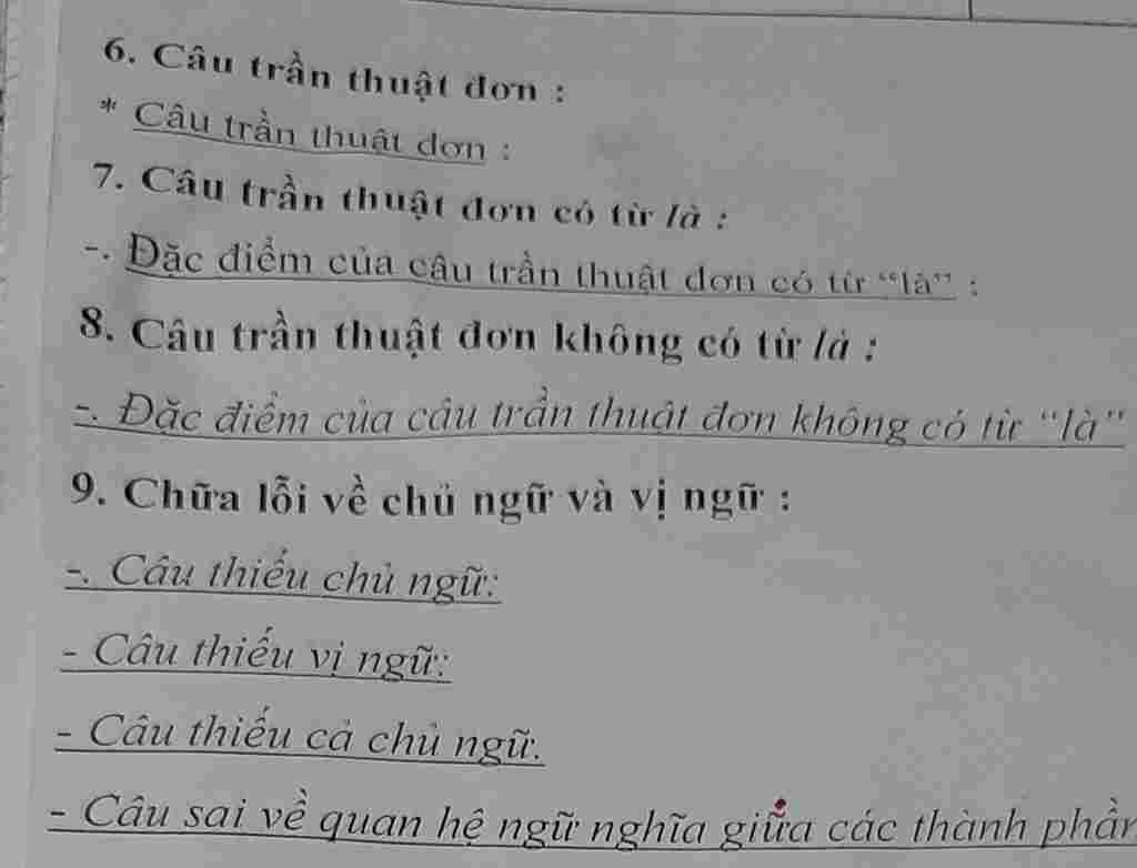 6-cau-tran-thuat-don-cau-tran-thuat-d-don-7-cau-tran-thuat-don-co-tu-la-dac-diem-cua-cau-tran-th
