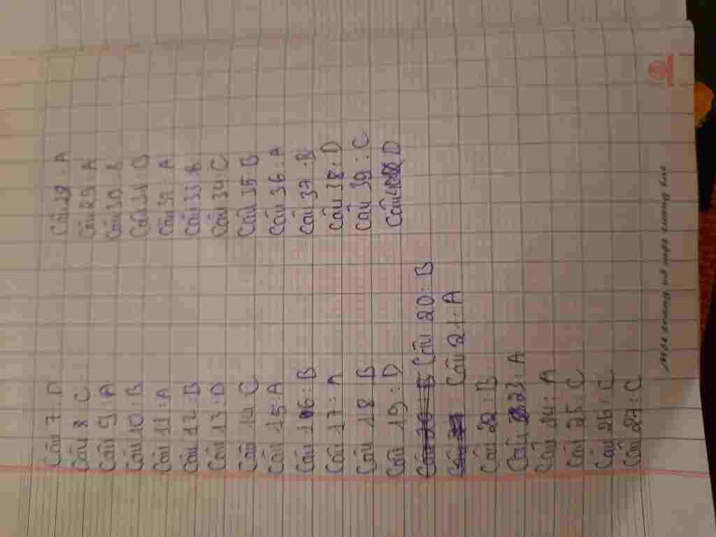 giup-minh-cau-7-den-cau-40-nha-dung-4-sao