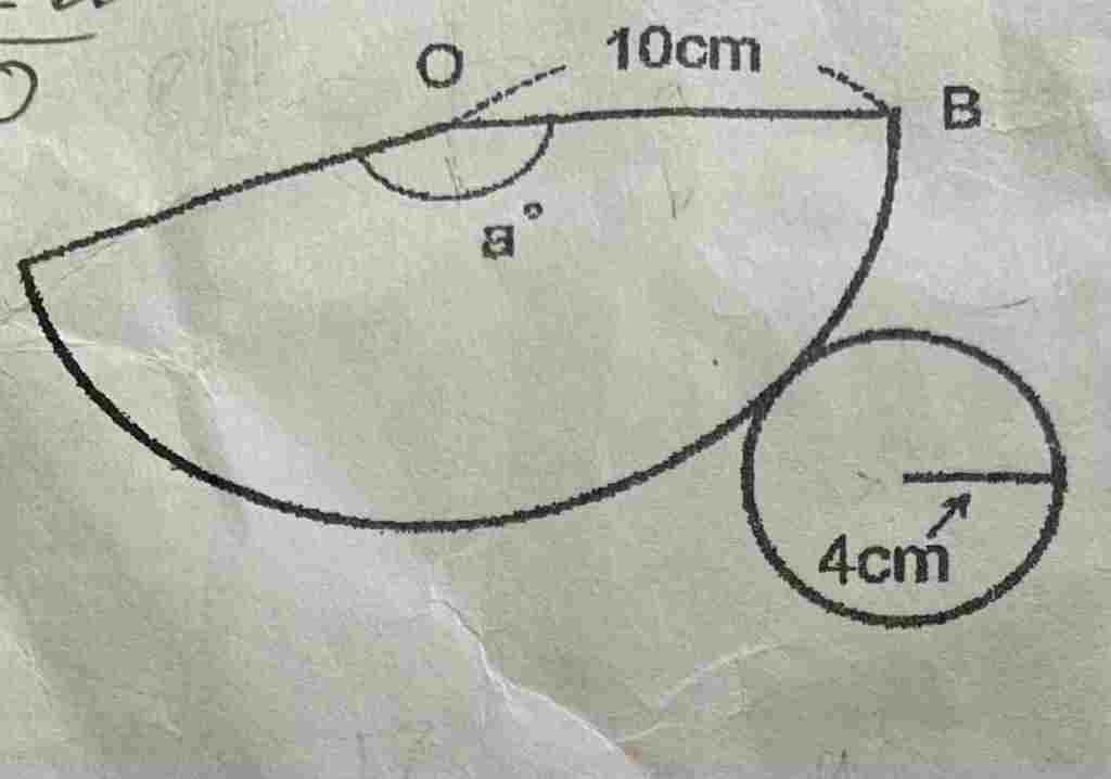 nay-thieu-anh-moi-nguoi-tim-goc-oab-giup-e-voi
