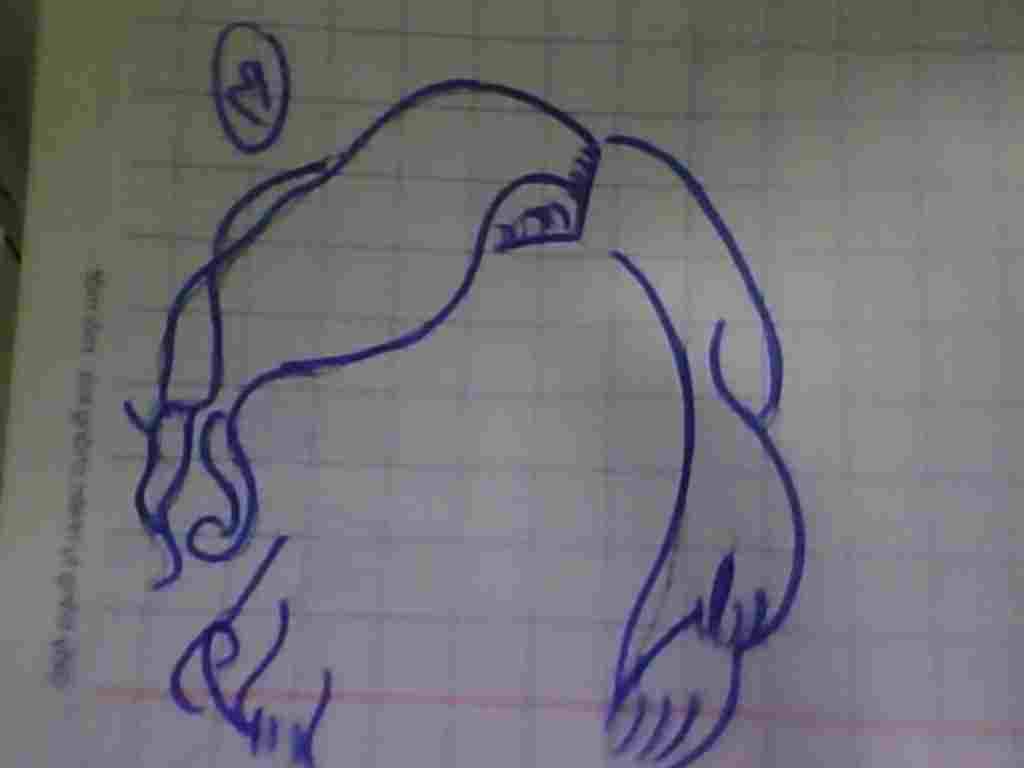 ve-2-loai-toc-pic-1-la-toc-nam-pic2-la-toc-nu