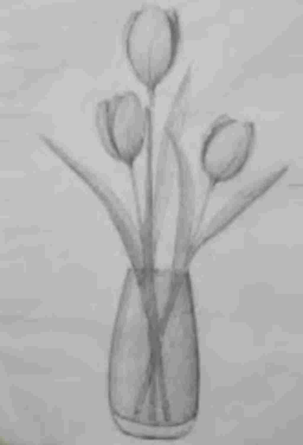 ve-binh-hoa-tulip-giup-mk-nhaaaaaa