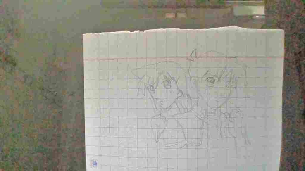ve-tranh-shinichi-va-ran-ho-mik-nha-ve-dep-dep-chut-nha-thanks