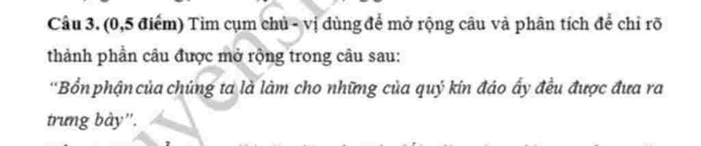 giup-to-voi-nho-phan-tich-cum-chu-vi-ro-rang-day