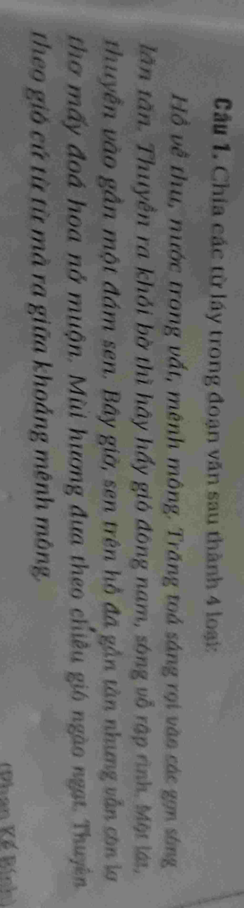 giup-tui-bai-1-di-moi-nguoi