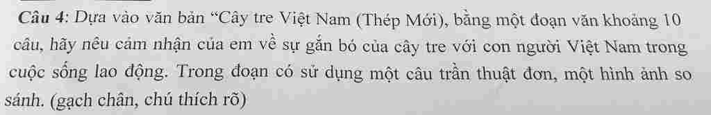 lam-ho-mik-mik-cho-5-sao-va-ctlhn