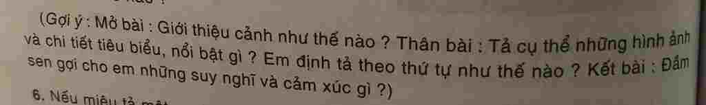 lap-dan-y-ta-chi-tiet-mieu-ta-quang-canh-mot-dam-sen-o-mua-hoa-no-dua-theo-hinh-anh