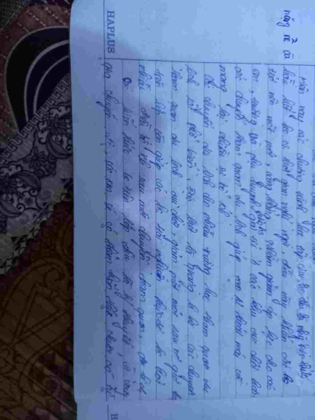 viet-doan-van-nghi-luan-trinh-co-su-dung-cac-yeu-to-bieu-cam-vao-de-van-nhung-chuyen-tham-quan-d